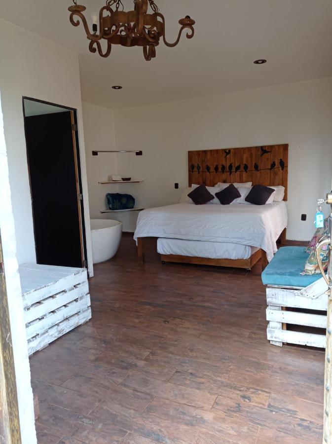 Hotel Cabanas Azul Tequilana Arandas Exteriér fotografie